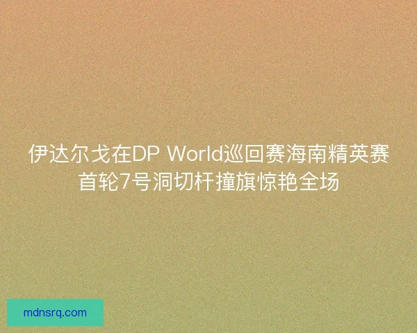 伊达尔戈在DP World巡回赛海南精英赛首轮7号洞切杆撞旗惊艳全场 伊达尔戈在DP World巡回赛海南精英赛首轮7号洞切杆撞旗惊艳全场
